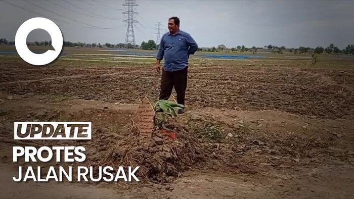 Video: Protes Jalan Rusak, Warga Cirebon Tanam Pohon Pisang dan Bikin Kuburan
