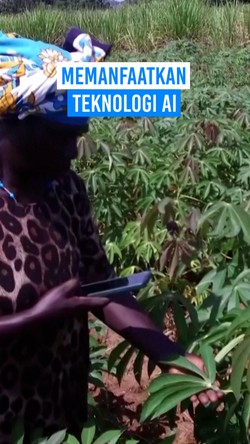 Video Petani di Kenya Pakai AI Untuk Diagnosis Penyakit Tanaman