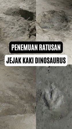 Video: Ratusan Jejak Kaki Dinosaurus Jurassic Ditemukan di Inggris