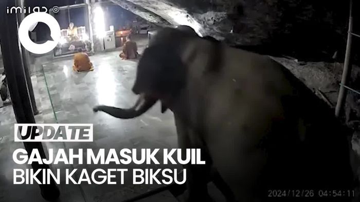 Video: Momen Gajah Masuk ke Kuil di Thailand Bikin Biksu Kaget