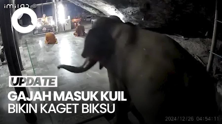 Video: Momen Gajah Masuk ke Kuil di Thailand Bikin Biksu Kaget