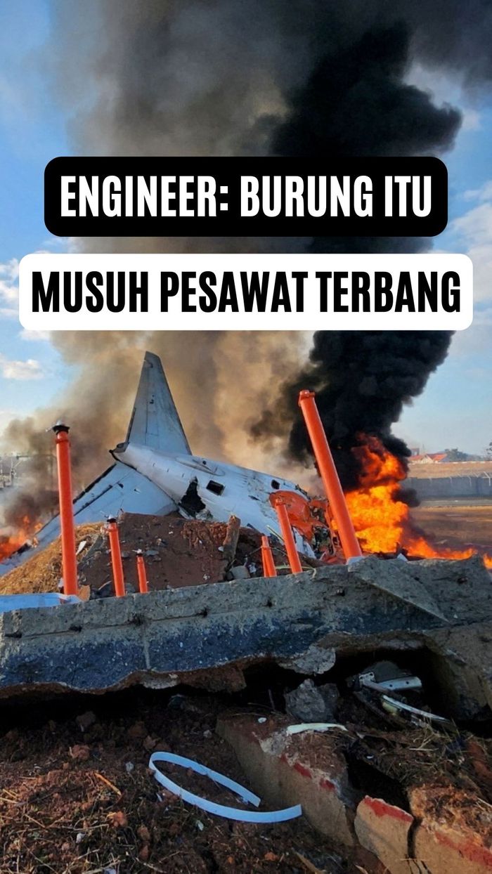 Video: Penjelasan Teknis Bird Strike yang Sebabkan Insiden Pesawat Jeju Air