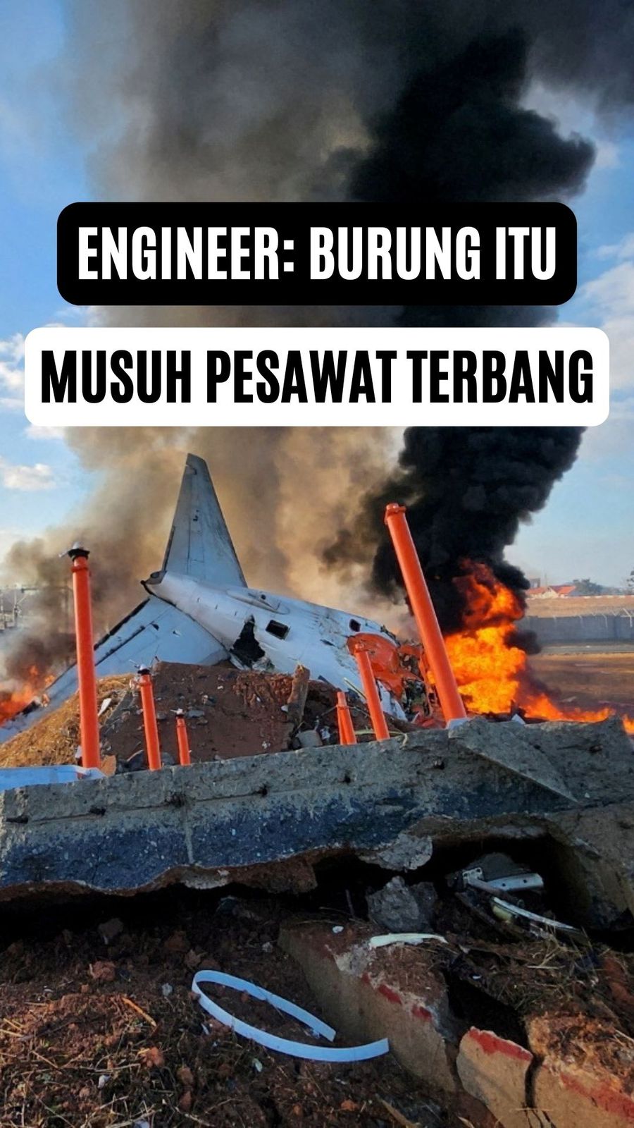 Video: Penjelasan Teknis Bird Strike yang Sebabkan Insiden Pesawat Jeju Air