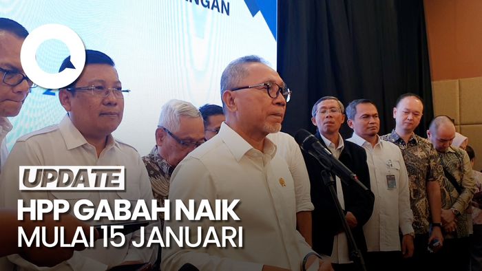 Video: Menko Pangan Umumkan Kenaikan HPP Gabah, Naik Jadi Rp 6.500