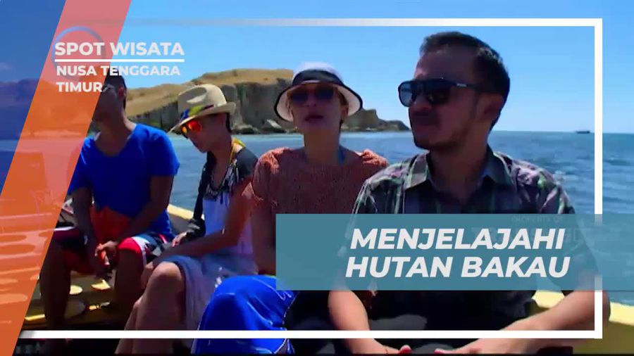 Menyusuri Keindahan Hutan Bakau di Nusa Tenggara Timur