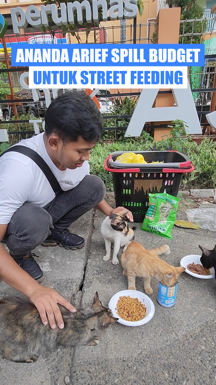 Video: Segini Budget yang Dikeluarkan Ananda Arief untuk Street Feeding