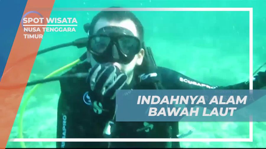 Mengagumi Alam Bawah Laut Mempesona di Pulau Tatawa, Nusa Tenggara Timur