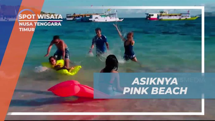 Bersenang-senang di Pantai Pink yang Cantik, Nusa Tenggara Timur