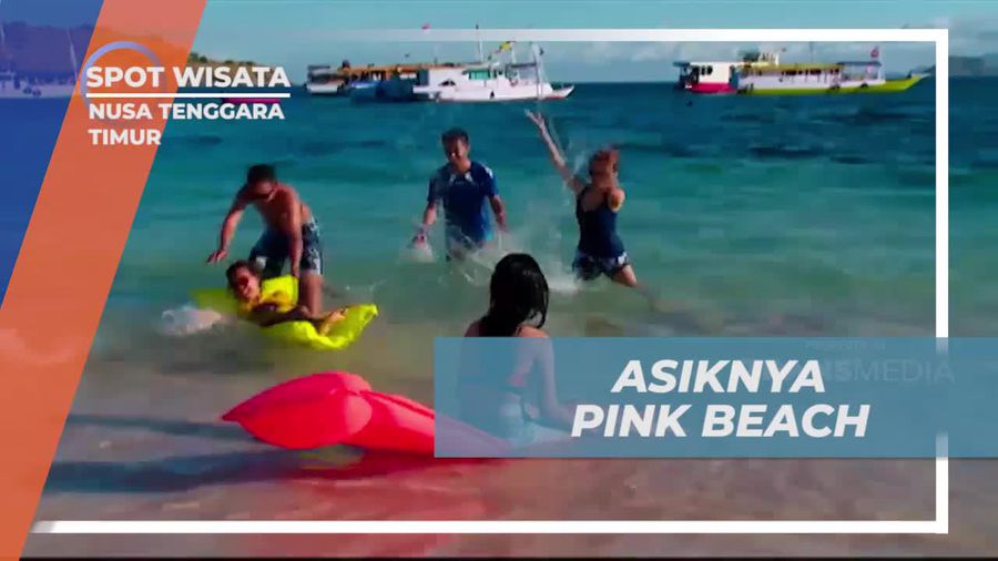 Bersenang-senang di Pantai Pink yang Cantik, Nusa Tenggara Timur
