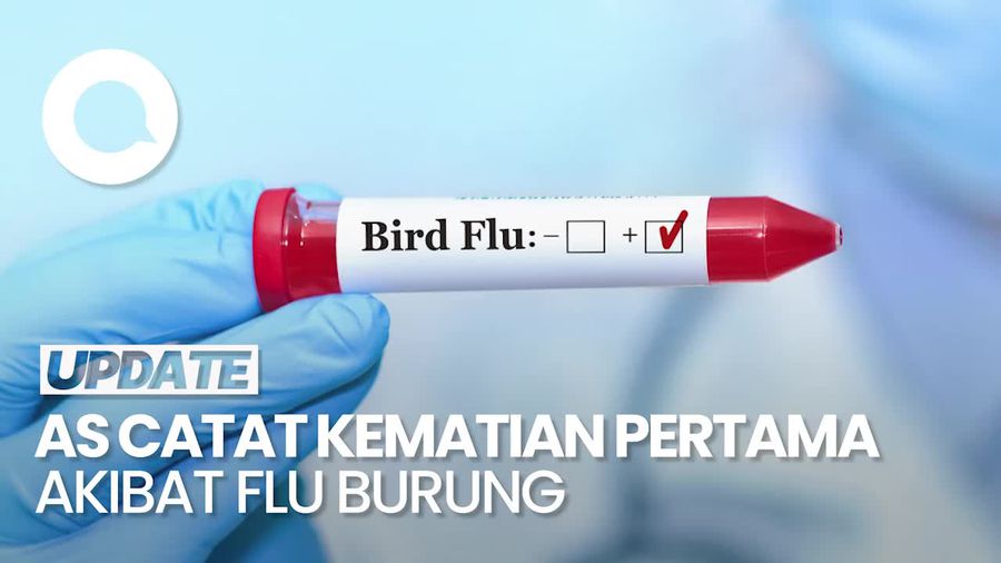 Video: Kematian Pertama Akibat Flu Burung di AS