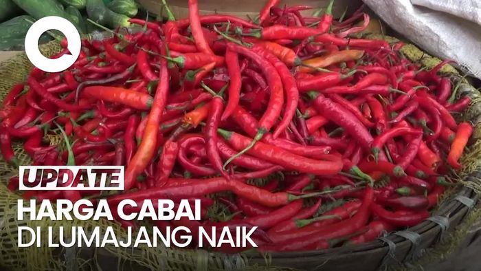 Video: Harga Cabai Rawit Merah Meroket, Tembus Rp 120 Ribu/Kg