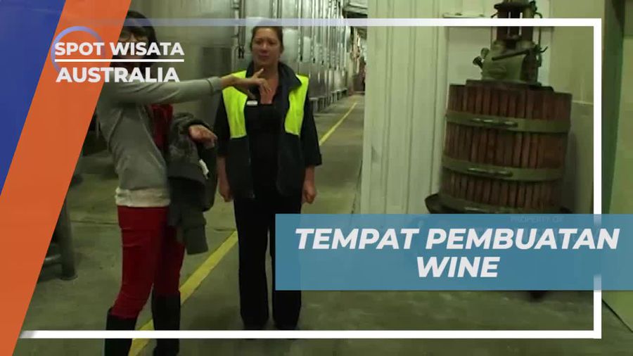 Mengamati Produksi Wine di Leeuwin Estate, Australia