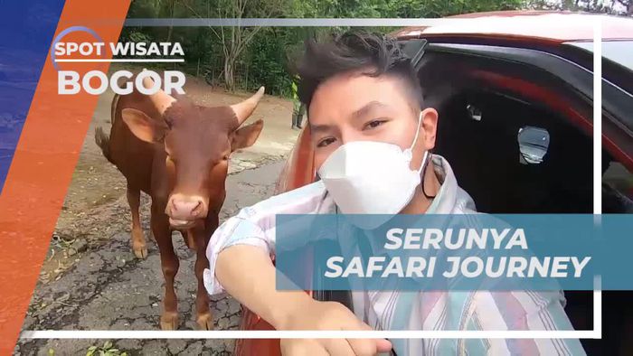 Ikuti Safari Journey Menarik di Taman Safari Bogor