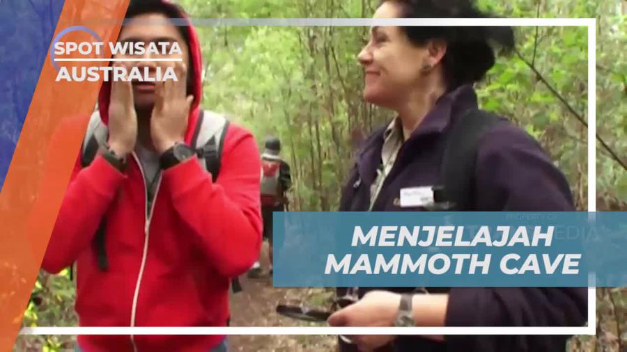 Menjelajahi Serunya Mammoth Cave, Australia