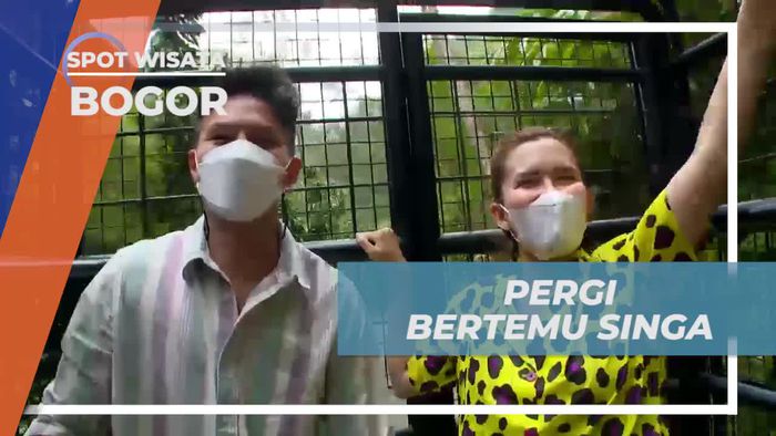 Dapatkan Sensasi Mendekati Singa di Taman Safari Bogor