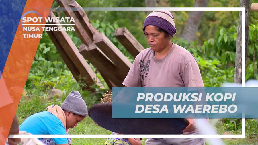 Nikmati Cita Rasa Kopi Lokal di Desa Waerebo NTT