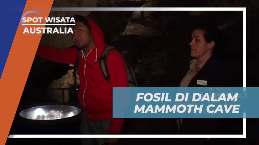 Menyaksikan Fosil di Dalam Mammoth Cave, Australia