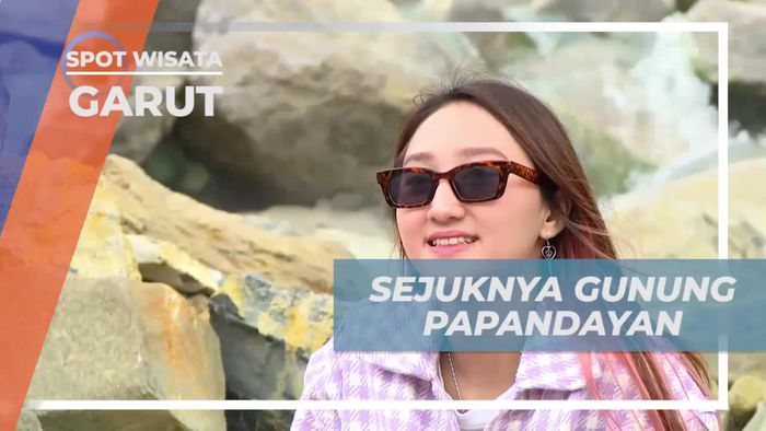 Nikmati Kesegaran di Gunung Papandayan Garut
