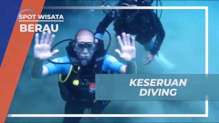Menemukan Keajaiban Bawah Laut Saat Diving di Berau