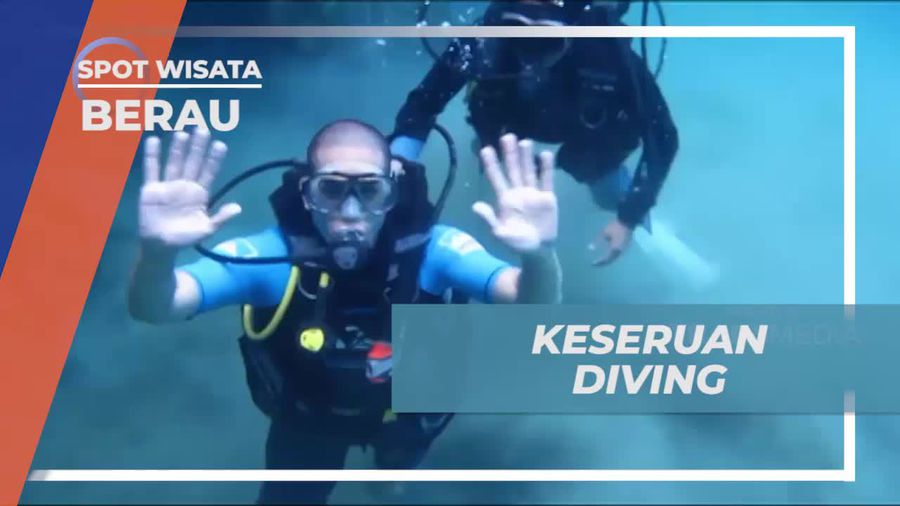 Menemukan Keajaiban Bawah Laut Saat Diving di Berau