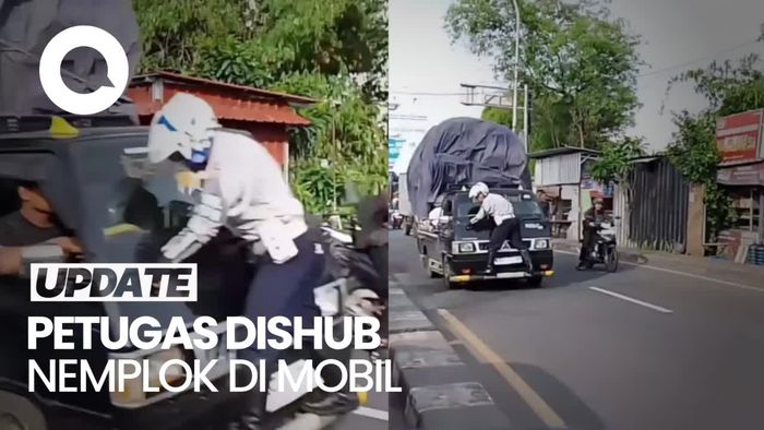 Video: Bak Spiderman, Momen Petugas Dishub Nemplok di Kap Mobil Pikap