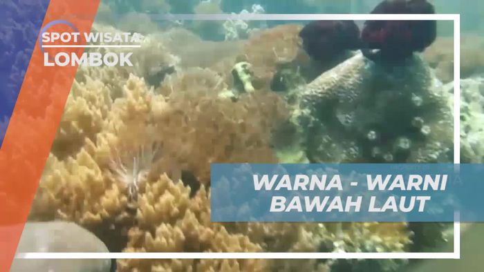 Menyelami Keindahan Bawah Laut di Gili Nanggu, Lombok