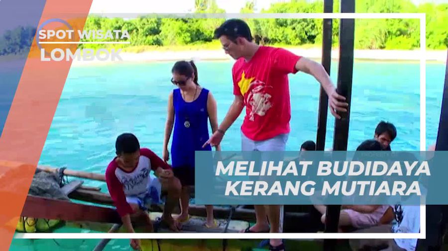 Menjelajah Budidaya Kerang Mutiara yang Menarik di Lombok