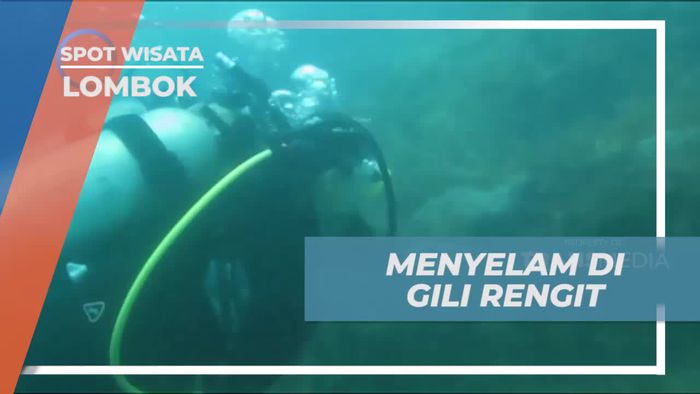 Menyelam Menyusuri Keindahan Laut di Gili Rengit, Lombok