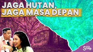 Adopsi Pohon, Solusi Deforestasi