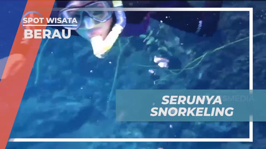 Menyelami Keindahan Alam Melalui Snorkeling di Labuan Cermin, Berau