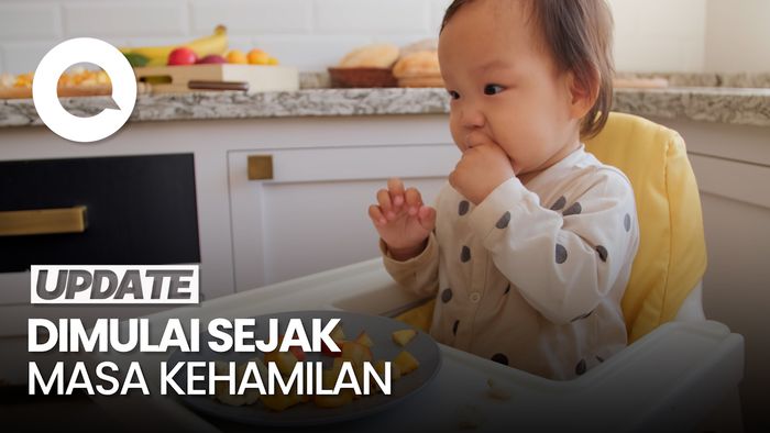 Video Wakil Kepala BKKBN sebut Program MBG Ibu Hamil-Balita untuk Cegah Stunting