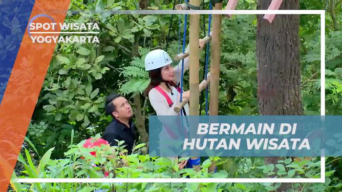 Menjelajahi Keindahan Hutan Wisata Kalibiru, Yogyakarta
