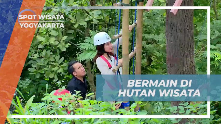 Menjelajahi Keindahan Hutan Wisata Kalibiru, Yogyakarta
