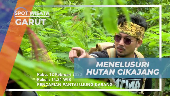 Mengeksplor Keindahan Hutan Cikajang di Garut