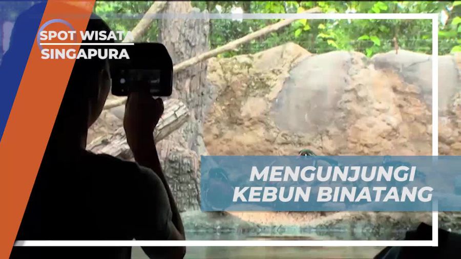 Menjelajah Singapore River Safari di Singapura