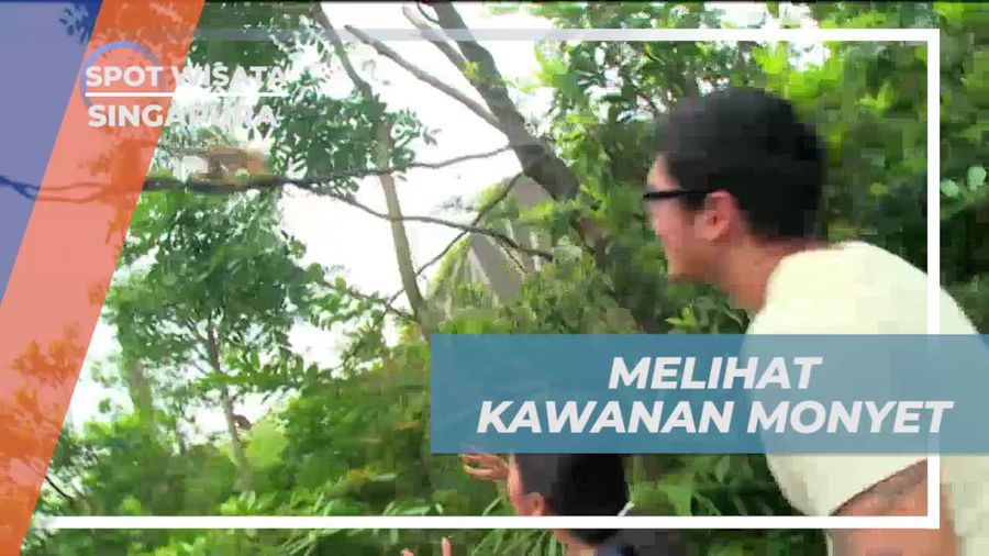Menemukan Kawanan Monyet di Singapore River Safari, Singapura