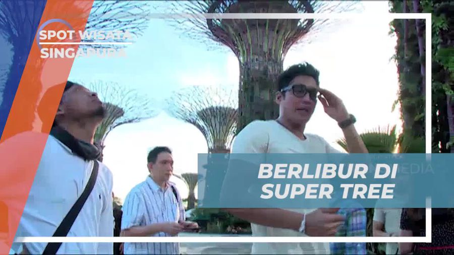 Berkeliling di Super Tree Menarik di Singapura