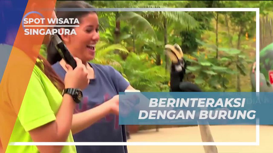 Berinteraksi dengan Berbagai Burung di Singapore River Safari