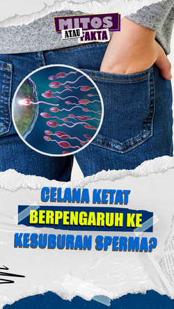 Video Mitos atau Fakta: Celana Dalam Ketat Menurunkan Kualitas Sperma 
