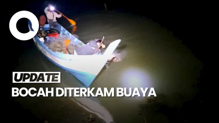 Video: Bocah yang Hilang Diterkam Buaya di Bangka Ditemukan Tewas
