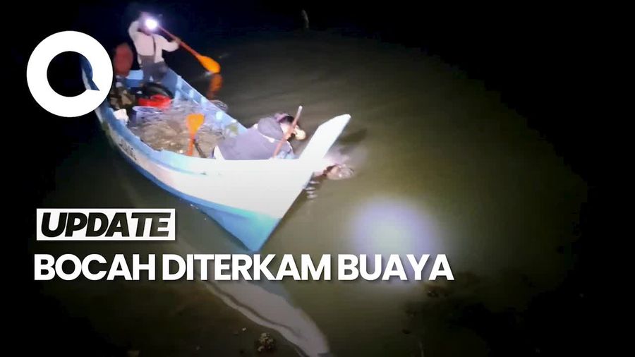 Video: Bocah yang Hilang Diterkam Buaya di Bangka Ditemukan Tewas