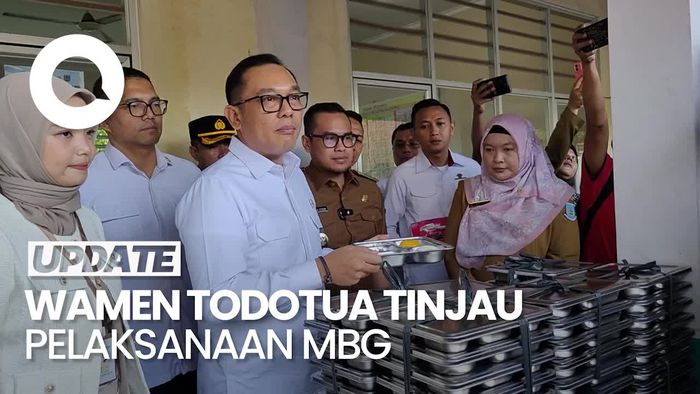 Video: Komentar Wamen Investasi dan Hilirisasi Setelah Tinjau MBG di Tangsel