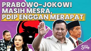Bagaimana Nasib Demokrasi Indonesia Jika Tak Ada Oposisi Pemerintah
