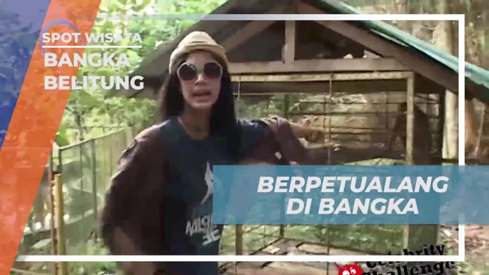 Bertualang Seru di Mini Zoo Bangka, Bangka Belitung