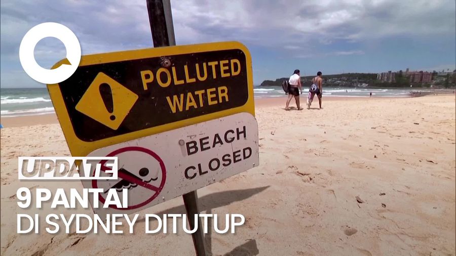 Video: Muncul Bola-bola Kecil Misterius, 9 Pantai di Sydney Ditutup