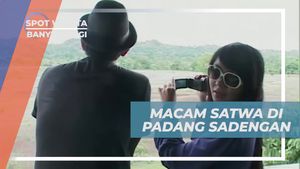 Mengintip Keberagaman Satwa di Padang Sadengan, Banyuwangi