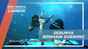 Bermain Subwing, Terbang di Bawah Laut Gili Trawangan, Lombok