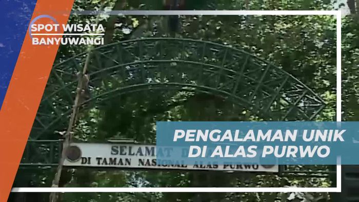 Menemukan Pengalaman Unik di Alas Purwo, Banyuwangi