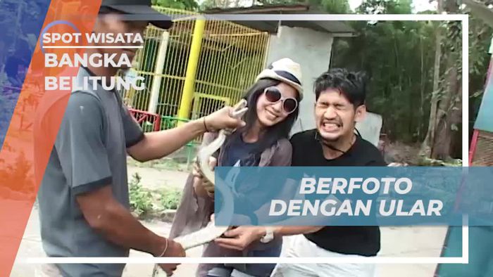 Berpose dengan Ular di Mini Zoo, Bangka Belitung