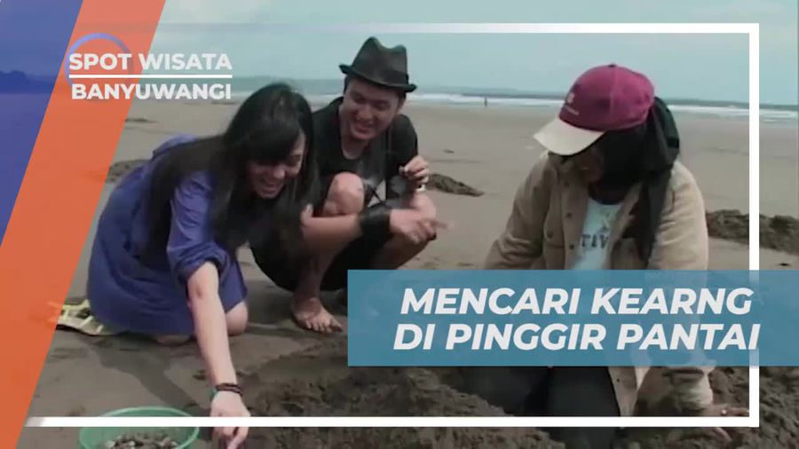 Mencari Kerang di Pinggir Pantai Ngagelan yang Menantang, Banyuwangi
